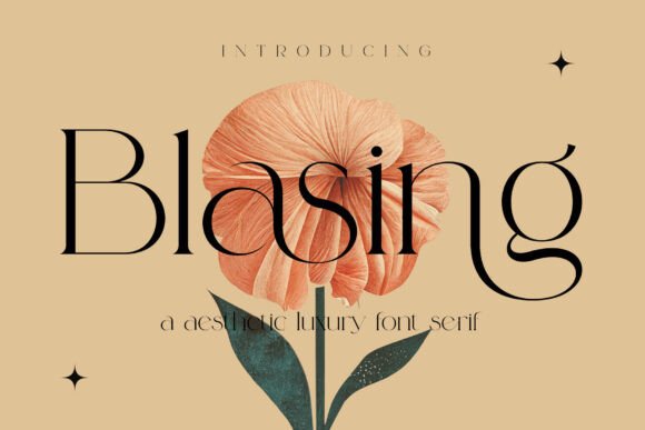Blasing Serif Font for Elegant Campaigns