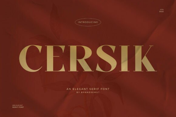 Cersik: The Modern Serif Font for Clear Campaigns