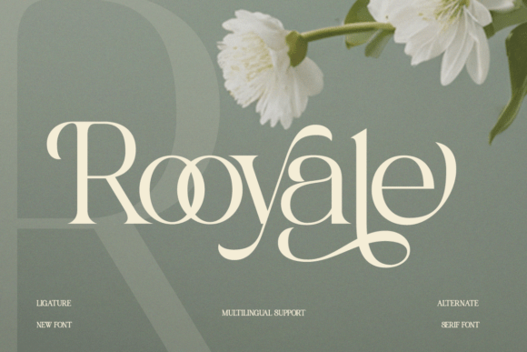 Rooyale Font Review: Elegant Serif for Luxury Branding